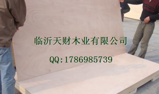 臨沂膠合板廠家福興美猴臨沂天財木業-產品展示與工程應用詳解